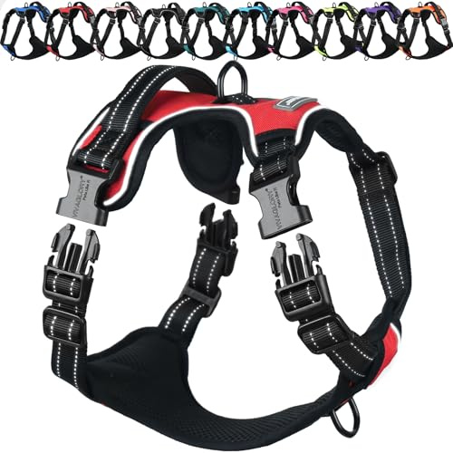 VIVAGLORY Anti Zieh Geschirr für Hunde Hundegeschirr, XS, Rot, B | Antizuggeschirr mit Gepolstert Griff & Brustring, Anti Zieh Mitwachsend Ausbruchsicher & Reflektierend für Welpe Hund