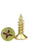 Small Wood Screws, Flat Head Screws for Wood,Phillips Self Tapping Screw for Furniture, Woodworking, DIY Models Fixing, M3 x 12mm (200 pcs)