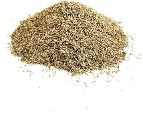 Back Lawn Grass Seed 100g Hard Wearing (Covers 2 Square metres) SLMH