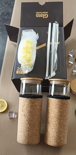 Trebyott 520ml Glass Tumbler with 2 Glass Straws & Protective Sleeve – Leak-Proof Lid, Cleaning Brushes, BPA-Free, Reusable Iced-Coffee & Bubble-Tea Cup
