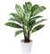 Briful 63CM Künstliche Calathea Majestica Exotica Kunstpflanze Groß Dekopflanze Dekorative Zimmerpflanze im Topf Deko Wohnzimmer Büro Hotel