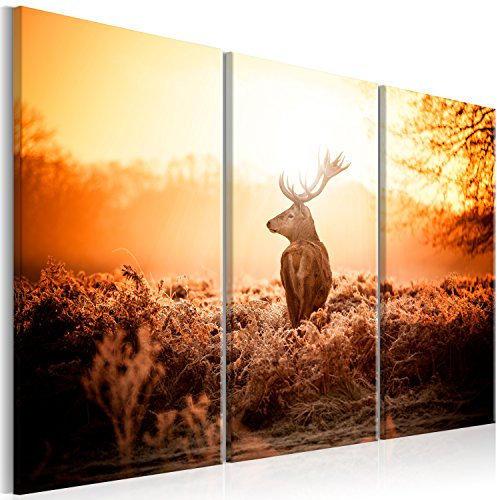 murando Akustikbild Hirsch Bilder Akustikschaum Hochleistungsschallabsorber Schallschutz Leinwand 3 tlg Wandbild Raumakustik Schalldämmung g-B-0045-b-f