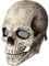ALNILK Schädel Maske, Halloween Maske 3D Totenkopfmasken Mit Beweglichem Kiefer, Latex 3D Skelett Face Mask FüR Cosplay Halloween Party Totenkopf Kopfbedeckung Kostüm Zubehör, Unisex