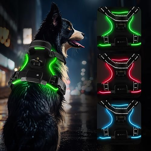MASBRILL Hundegeschirr Leuchtend Aufladbar, LED Hundegeschirr Verstellbar Reflektierend mit Griff, Weich Gepolstert Beleuchtete Brustgeschirr für Kleine, Mittlere Große Hunde Leucht Geschirr(Grün L)