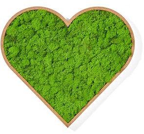 WandMagie Moosbild Herz aus echtem Islandmoos hellgrün mit Rahmen I Großes Pflanzenbild (40cm x 44cm) in Herzform mit grünem konservierten Moos