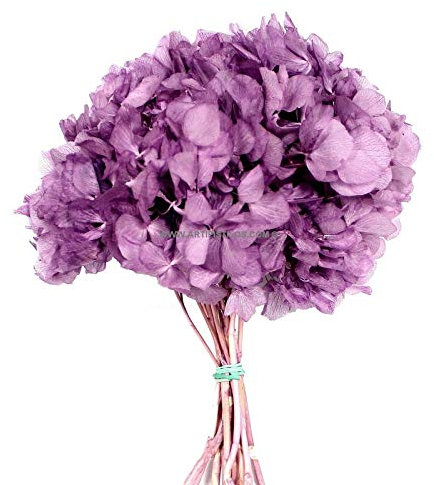 Artipistilos Hortensia Preservada Natural Premium - 23 X 23 Cms., Violeta - Flores Preservadas