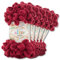 Alize 5 x 100 g Puffy Wolle Chenille Schlaufenwolle Häkeln und Stricken ohne Hilfsmittel Kleidung Accesoire Decken Teppiche (107 | Bordeaux)