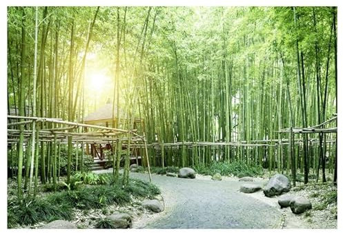 Scenolia Papier Peint intissé BAMBOUS Verts Zen 400 x 270 cm (LxH) - Tapisserie Murale panoramique XXL, Made in France