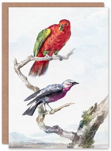 Artery8 Aert Schouman Art Card Red Green Parrot and Bird Watercolour