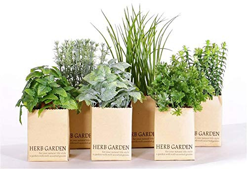 artplants.de Kunstpflanzen Kräutermix Chuck im Papiertopf, grün, 15-25cm - Kunstkräuter