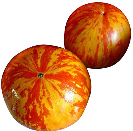 Tomate Saatgut nach Sorten, je 10 Samen (Zebra)