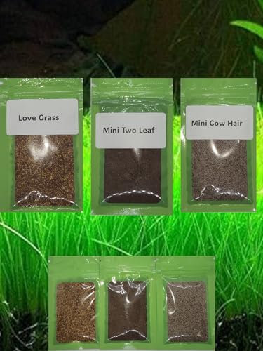 3 Aquarium Plant Se-e-d Combo, no Artificial, Fresh Water Grass for Fish Tank Terrarium Dwarf Carpet