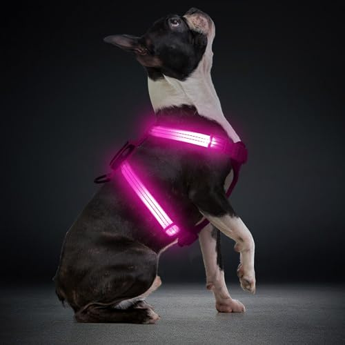 LED Hundegeschirr für kleine Hunde USB-C Wiederaufladbares Beleuchtetes Hundegeschirr Leuchtet Im Dunkeln welpengeschirr xs s Hundeweste Reflektierend für Nachtspaziergänge (Rosa)