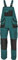 Hans Latzhose - Herren Baumwolle Slim Fit Arbeits-Latzhose - Grün EU62