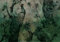 decomonkey Fototapete Pfau 400x280 cm Tapete Fototapeten Vlies Tapeten Vliestapete Wandtapete moderne Wand Wandbild Schlafzimmer Wohnzimmer Vintage Deko Retro Kunst Blumen Tiere Vogel beige grün