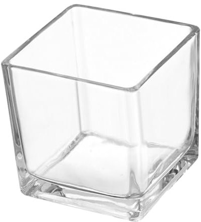 BCOATH Vase Carré en Verre Vase Cubique Support Créatif pour Plantes