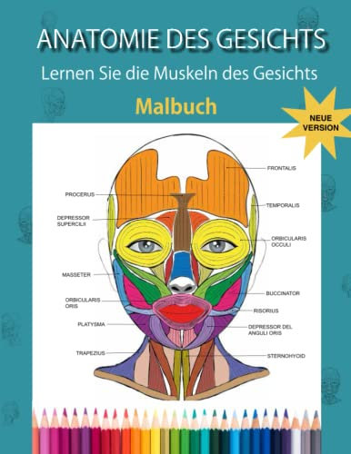 Gesichts Anatomie: Lernen Sie die Muskeln des Gesichts- Malbuch