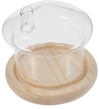 Warmhm Glass Cover Cheese Cloche Dome Butter Dish Dome Tray Wooden Trays Micro Landscape Glass Dome Clear Glass Faux Plants Mini Dessert Stand Glass Flower Cover With Base Wooden Pallets