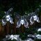 KINGCOO Schmetterling Lichterketten, Wasserdichte 16FT 20LED Butterfly Solar Lampe Dekorative Leuchten für Party Hochzeit Garten Veranda Balkon Weihnachtsfee Beleuchtung Dekorationen (Weiß)