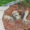 abbcoert Halloween-Zombie-Gartenstatue, Dekoration für beste Halloween-Friedhofs-Dekoration, Halloween-Dekorationen für Terrasse, Rasen, Hof, Urlaubsgarten, Geschenk