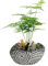 Wjwumha Blumentopf, 13 cm Beton Indoor Pflanzgefäß, Vintage Zement Blumenbehälter, Sukkulenten, Kaktus, Entwässerungsloch, Blumentopf für Home Office Schreibtisch