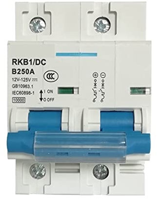 PULMAC Disjoncteur 1P 2P DC Disjoncteur 12V 24V 36V 48V 96V 120V DC Disjoncteur Solaire Mini Disjoncteur 100A 150A 200A 250A Isolateur Disjoncteur 1 pc (Color : 2P, Size : 200A)