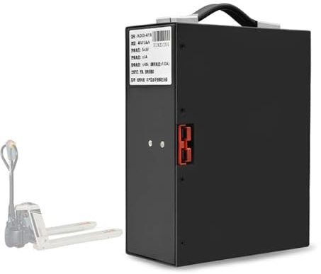TGHY Batteria Carrello elevatore Elettrico Batteria al Litio 48V 10,4Ah 15,6Ah 18Ah Batteria per carico e Scarico del Camion Batteria per Camion per logistica di Magazzino 48 Volt,48v10.4ah