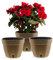 Santino ASTI - Set de 3 Macetas con Riego Automático con Indicador de Nivel de Agua, Redondas, para Interior, para Plantas, Flores, Hierbas (Ø 20 cm, Altura 16 cm, 4 L, Dorado/Negro)