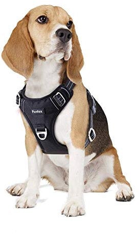 Funfox Hundegeschirr Mittelgroße Hunde [M] - Verstellbares Anti-Zug Brustgeschirr mit Griff & Reflektorstreifen, Atmungsaktives No Pull Hundegeschirr für Grosse/Kleine Hunde Outdoor Schwarz