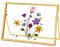 REDHUGO Glasrahmen für gepresste Blumen, handgefertigt, schwebender Glasbilderrahmen, Tischrahmen aus Messing, Fotorahmen für DIY-Projekte mit getrockneten Blumen und Pflanzenspezimen, rechteckig