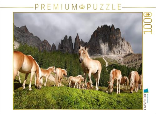CALVENDO Puzzle Junge Haflingerherde | 1000 Teile Lege-Größe 64 x 48 cm Foto-Puzzle für glückliche Stunden