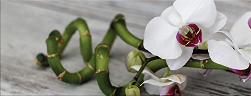 artissimo, Glasbild, 80x30cm, AG4770A, weiße Orchidee mit Bambus, Bild aus Glas, moderne Wanddekoration aus Glas, Wandbild Wohnzimmer modern, weiß grün