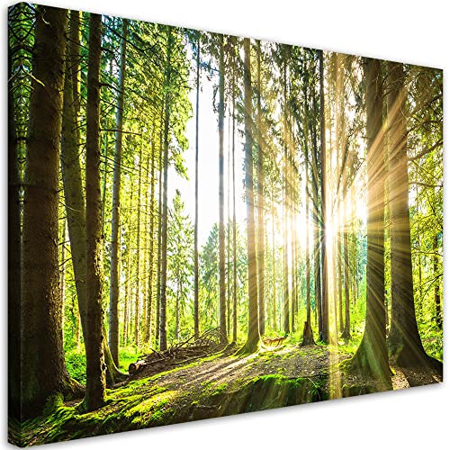 Feeby Vlies Bild - Wohnzimmer Aesthetic - Waldbäume Natur - 120x80 1tlg - Schlafzimmer Wandekoration - Vlies Bilder für Zimmer - Living Room - Deko Wandbilder - Moderne Bild