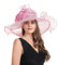 SAFERIN Damen-Organza-Fascinator, Kirche, Brautschmuck, Teeparty, Hochzeitshut, Sf12-pink Rose