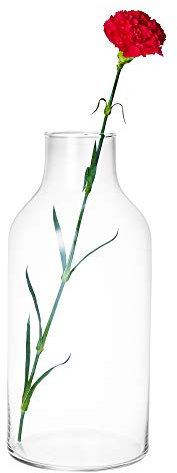 URBNLIVING Large Clear Glass Cylinder or Bottle Shaped Vases for Flowers, Aquariums or Decorative Displays (Small Bottle)
