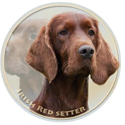 GAETOYEN Autoaufkleber Hund Personalisiert 13 cm PVC Aufkleber Irish Setter Hund Haustier Tier Auto Aufkleber Für Stoßstange Heckscheibe Laptop Kühlschrank Toilette C1S453(1PCS)