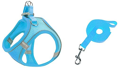 Hundegeschirr mit Leine Set, Step-in Weich Gepolstert Geschirr Reflektierend, Weich Gepolstert Air-Mesh Atmungsaktiv Brustgeschirr, Welpengeschirr für Kleine Hunde, Haustiere, Welpen, Katzen (B, S)