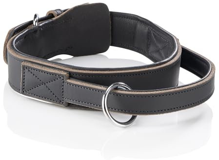 Jack & Russell Hunde Halsband Leder mit Haltegriff – taktisches Trainingshalsband mit Griff, breites Lederhalsband aus Voll-Leder für große Hunde, Pino (M/L (42,0-52,0)