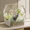 Boule en Verre Transparent - Bol à Poisson Rond - Aquarium Betta - Aquarium de Bureau pour Le Travail à Domicile - Petits Aquariums - 16/19/22,3 cm
