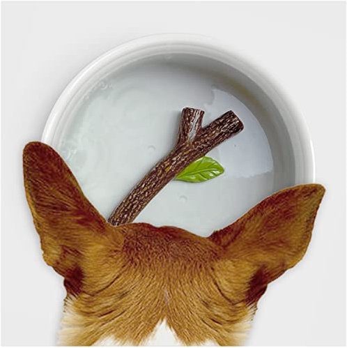 Suck UK | Ceramic Dog Bowl | Dog Water Bowl With 3D Stick | Feeding & Watering Supplies For Dogs | Dogs Bowls For Adult Puppy & Puppies | Novelty Accessories & Puppy Accessories | Gifts
