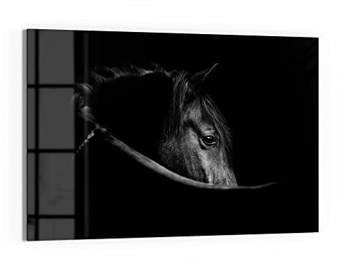 DEQORI Glasbild Echtglas | Motiv Schönes Pferd im Profil | horizontal einteilig 90x60 cm | schöne Dekoration | Wandbild für Wohnzimmer, Schlafzimmer, Flur & Küche | moderne Wanddeko