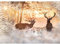 Runa Art Papier Peint panoramique Elche hiver 352 x 250 cm Toison Mur XXL Moderne Décoration Murale Salon Chambre á Coucherr Bureau Salle orange blanc 9212011a
