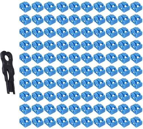 Orolotay 100Pcs Blue RJ45 Port Ethernet LAN Hub Anti Dust Cover Plug Cap Blockout Protector with Proprietary Lock and Key