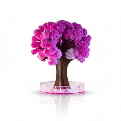 Magically Paper Ensemble d'arbre en verre – Arbre de culture de fleurs de cerisier pour tous les âges, cadeau d'expérimentation scientifique informatique de style japonais, décoration originale pour