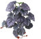 Plantes tropicales pour reptiles - Accessoires pour habitat d'amphibiens - Simulation de décoration de terrarium - Simulation imprimée en 3D - Plantes pour terrarium tropical pour habitat pour serpent