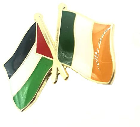 Palestine Ireland Palestinan Irish EU Friendship Metal Enamel Country Flags Pin Badge