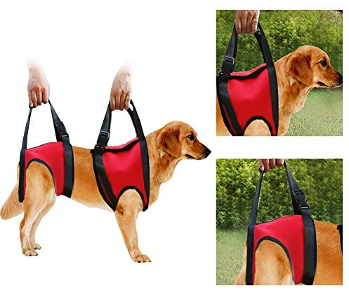 Hunde Tragehilfe vorne Hund Unterstützung Harness Pet Gehhilfe Heben Ziehen Weste Sling Unterstützung Rehabilitation für Alte & Verletzte Hunde (Hind Leg - L-Red)