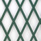 Treplas 1,00x3 m, Verde, Traliccio Estensibile in PVC per Sostegno a Muro di Fiori e Piante Rampicanti