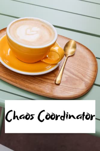Professional Chaos Coordinator Notebook: Undated To Do List Planner with Monthly Calendar