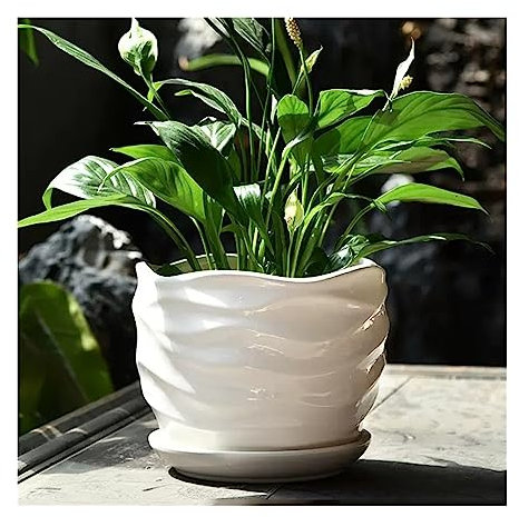 Blumentopf Pflanztopf Blumentöpfe aus Keramik, reinweiß, einfaches Wellenmuster, Blumentöpfe, mittelgroße Pflanzgefäße mit Tablett, for Zuhause, Sukkulenten, Grünpflanzenanbau Pflanzkübel ( Size : M )
